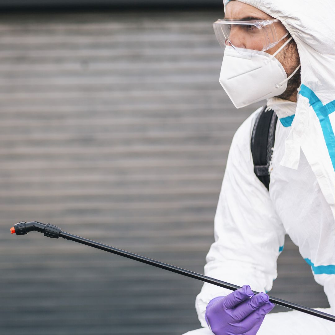 Specialist Cleaning